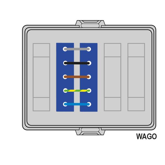 Parte frontale innestabile AK2, WAGO WINSTA® MIDI, uscita: 2x5pin DALI blu